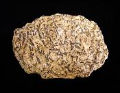 BLACK TOURMALINE CRYSTAL FORMATIONS IN MICA SHIST MATRIX.   SP11182SHLF