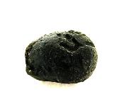 TEKTITE SPECIMEN.   SP11830