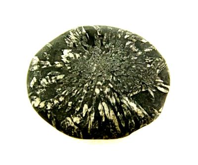 CHRYSANTHEMUM STONE