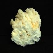 Coral Aragonite (Cave Calcite) Crystal Specimen.   SP15668
