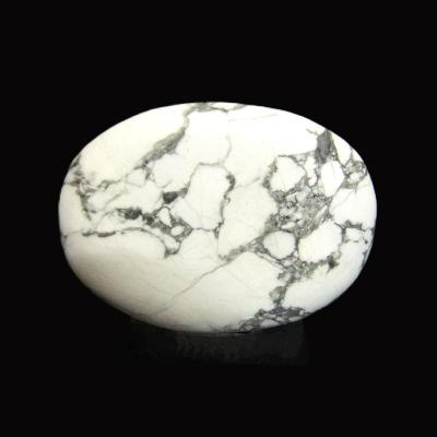 White Howlite Polished Palmstone.   SP15892POL