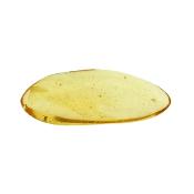 Copal (Young Amber) Fully Polished Specimen.   SP15987POL