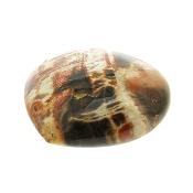 Petrified Wood Polished Heart.   SP16130POL