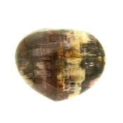 Petrified Wood Polished Heart.   SP16131POL