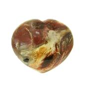 Petrified Wood Polished Heart.   SP16132POL