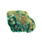 Dioptase Crystal Formations on Matrix Specimen.   SP16224