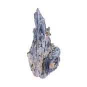 Blue Kyanite With Iron Staining Raw Crystal Specimen.   SP16385