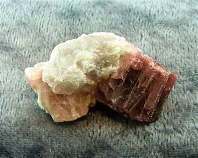 RUBELLITE CRYSTAL SPECIMEN. SP5157