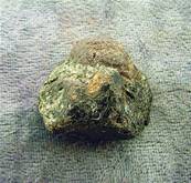 GARNET WITH STAUROLITE CRYSTAL SPECIMEN. SP6631