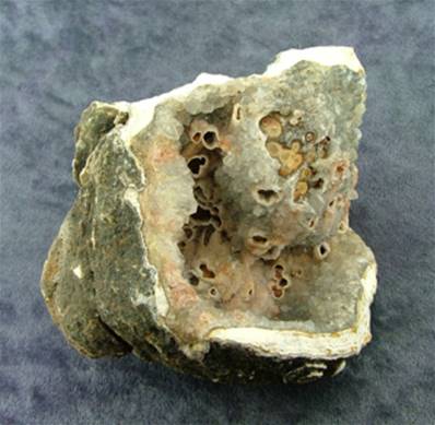 AGATE GEODE SECTION SPECIMEN. SP7543