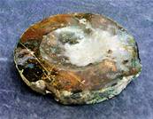 AGATE SLICE POLISHED FACE TRINKET/ SOAP DISH. SP7670POL