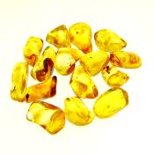 BALTIC AMBER POLISHED SPECIMENS.   SPR13818POL