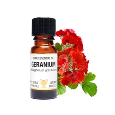 PURE ESSENTIAL OIL - GERANIUM. pelargonium graveolens. SPR1646