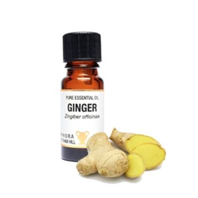 PURE ESSENTIAL OIL - GINGER. zingiber officinale. SPR3102