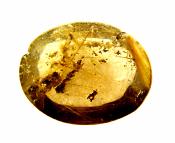 DOME POLISHED RUTILATED SMOKEY QUARTZ PEBBLE.   SP10121POL