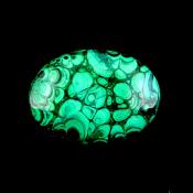 Polished Palmstone in Malachite.   SP15471POL