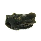 Darwin Glass Tektite Specimen.   SP15761