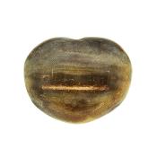 Petrified Wood Polished Heart.   SP16140POL