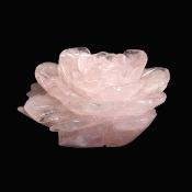 Highly Detailed, Lovely Rose Flower Carving In Rose Quartz.   SP16386SLF