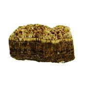 Oakstone Raw Crystal Specimen.   SP16816