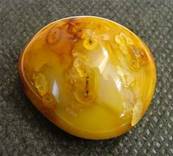 CARNELIAN POLISHED PEBBLE SPECIMEN. SP4150POL