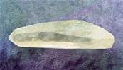 LASER QUARTZ POINT SPECIMEN.   SP6772