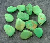 CHRYSOPRASE TUMBLE STONES (BRAZIL). SPR4775POL