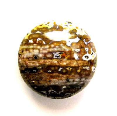 ORBICULAR JASPER POLISHED PEBBLE/ PALMSTONE.   SP10725POL