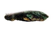 EMERALD WITH PHILOGOPITE DOME POLISHED CRYSTAL SPECIMEN.   SP14441POL