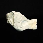 White Howlite Raw Crystal Specimen.   SP16187