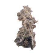 Fulgurite (Prayer Whistle)  Crystal Formation.   SP17099