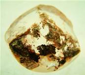 DOME POLISHED QUARTZ PEBBLE SPECIMEN. SP2464POL