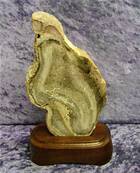 FREE STANDING PETRIFIED WOOD SLICE SPECIMEN. SP7206POL