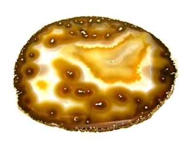 AGATE SLICE SPECIMEN. SP9503POL