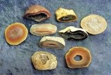 AGATE