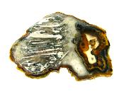 AGATE SLICE SPECIMEN.   SP10894POL