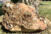 QUARTZ WITH LEPIDOLITE MICA ON FELDSPAR RAW CRYSTAL SPECIMEN.   SP12642SHF