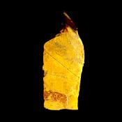 TIGER'S EYE TOP POLISHED POINT SPECIMEN.   SP13854POL