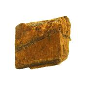 Tiger's Eye Raw Crystal Specimen.   SP16189