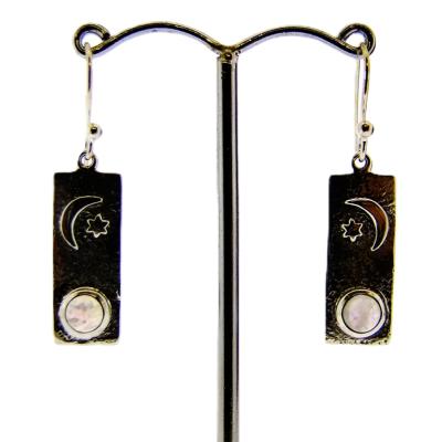 925 Silver Pendant Earrings.   SP16904ER 