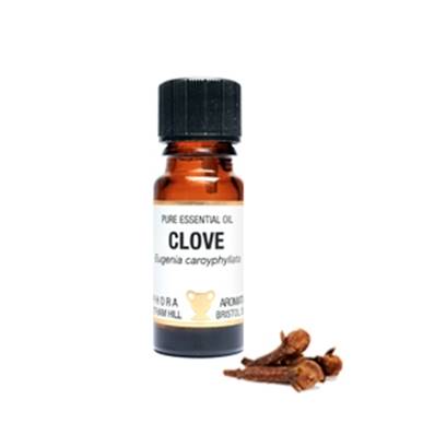 PURE ESSENTIAL OIL - CLOVE. eugenia caroyphyllata. SPR1089