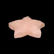 Starfish Carving in Rose Quartz.   SPR15235POL