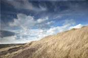 'Sea Palling Sand Dunes' by Danny Hickling A6 Art Print