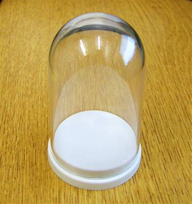 10 X PLASTIC 'THIMBLE' DOMED DISPLAY BOX - WHITE BASE WITH CLEAR TOP (D2 SIZE). D2/43D/68T