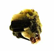 WATERMELON TOURMALINE IN QUARTZ WITH MICA CRYSTAL SPECIMEN.   SP10365