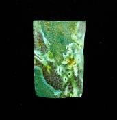 MALACOLLA DOME POLISHED RECTANGULAR CABOCHON.   SP11020POL