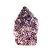 LEPIDOLITE TOP POLISHED POINT/ TOWER SPECIMEN.   SP14903POL