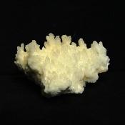 Coral Aragonite (Cave Calcite) Crystal Specimen.   SP15667