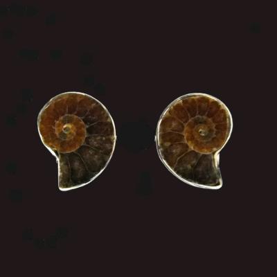 A Pair of Fossil Ammonite Cuff Links With 925 Silver Mounts.   SP16149