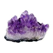 Amethyst Druze/ Cluster Specimen.   SP16688